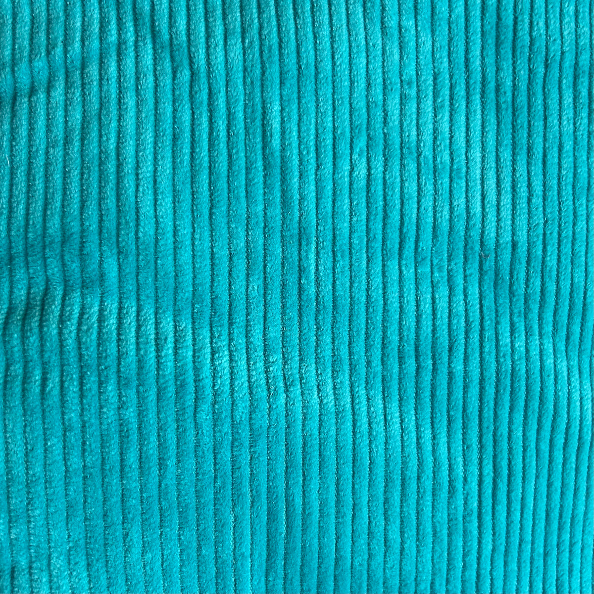 Kinderrugtas